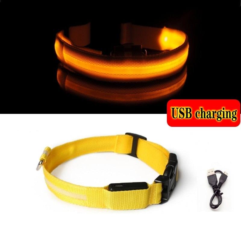 Led Dog Collar Light-Wiggleez-Yellow USB charging-XS-Wiggleez