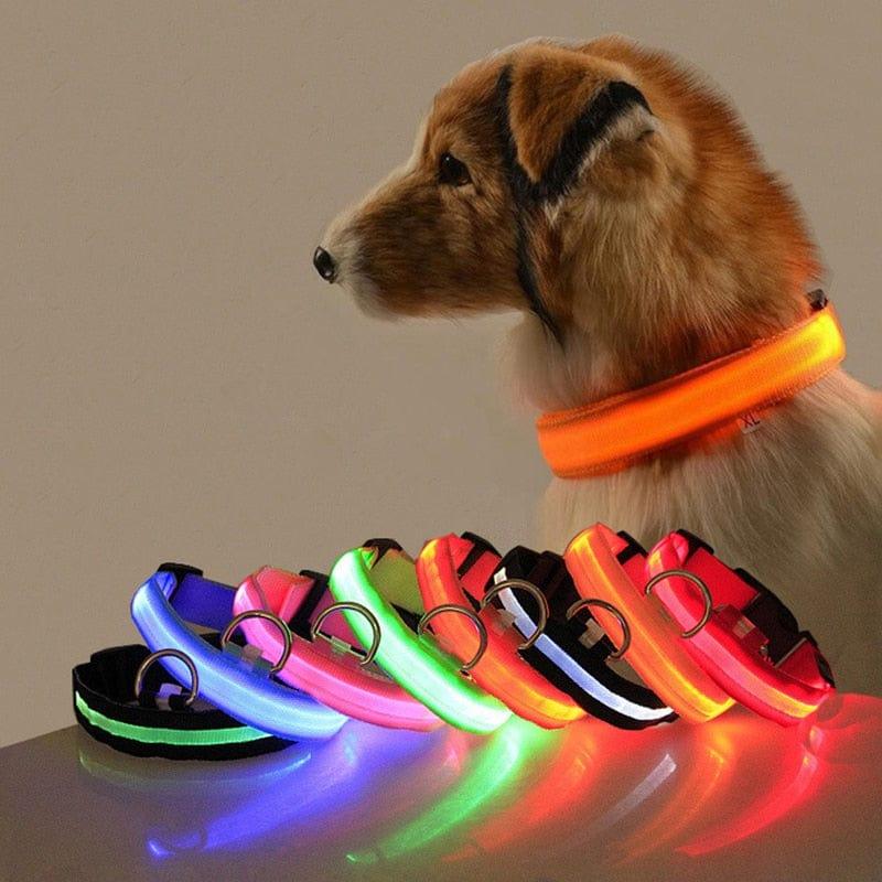 Led Dog Collar Light-Wiggleez-Blue USB charging-XS-Wiggleez