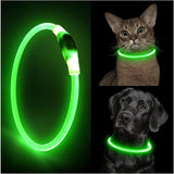 Led Light Dog Collar- USB Charging-Wiggleez-Red-Wiggleez