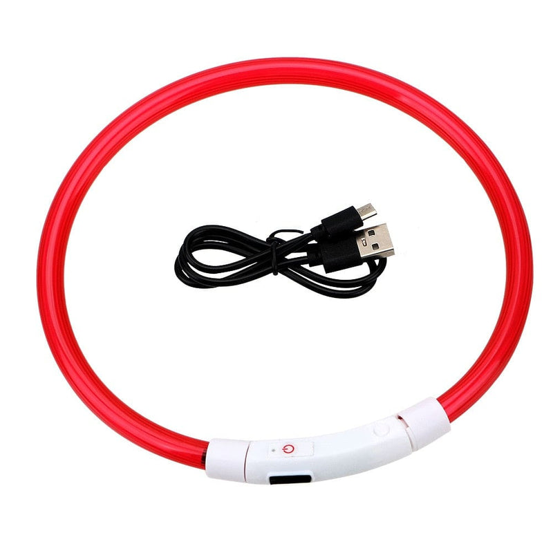 Led Light Dog Collar- USB Charging-Wiggleez-Red-Wiggleez