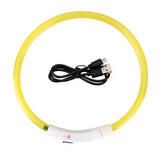 Led Light Dog Collar- USB Charging-Wiggleez-Yellow-Wiggleez