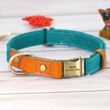 Nylon Customized Personalized Dog Collar Leash Name ID Tag-Wiggleez-Blue Collar-S-Wiggleez