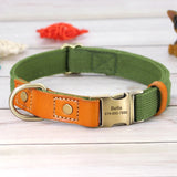 Nylon Customized Personalized Dog Collar Leash Name ID Tag-Wiggleez-Green Collar-S-Wiggleez