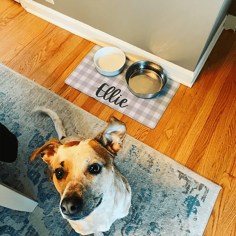 Personalized Customized Waterproof Dog Cat Food Bowl Mat-Wiggleez-A-60x35cm-Wiggleez