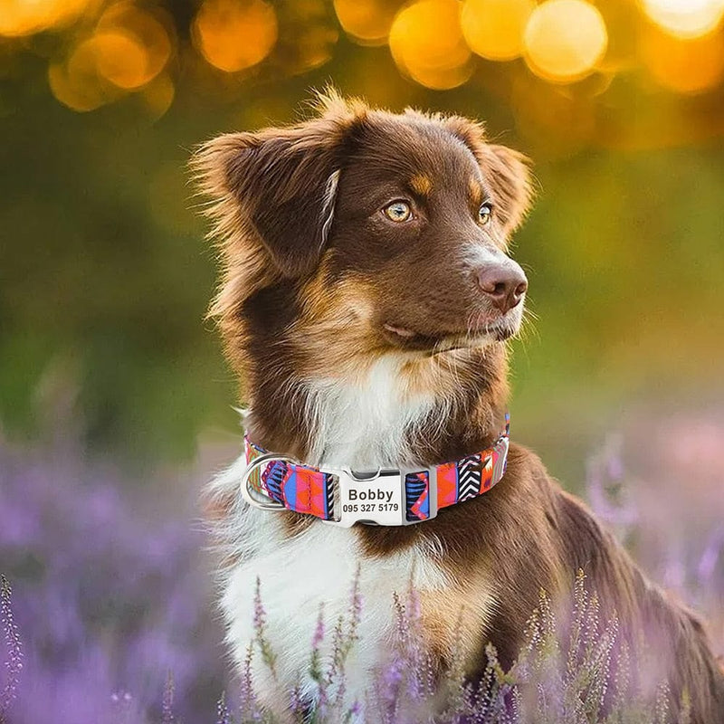 Personalized Dog Collar-Wiggleez-Rose-S-Wiggleez