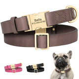 Personalized Leather Engraved Dog Collar Pet Buckle For Small Medium Large Dogs-Wiggleez-Black-S-Wiggleez