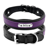Personalized Leather Pet Name ID Dog Collar-Wiggleez-Purple-M-Wiggleez