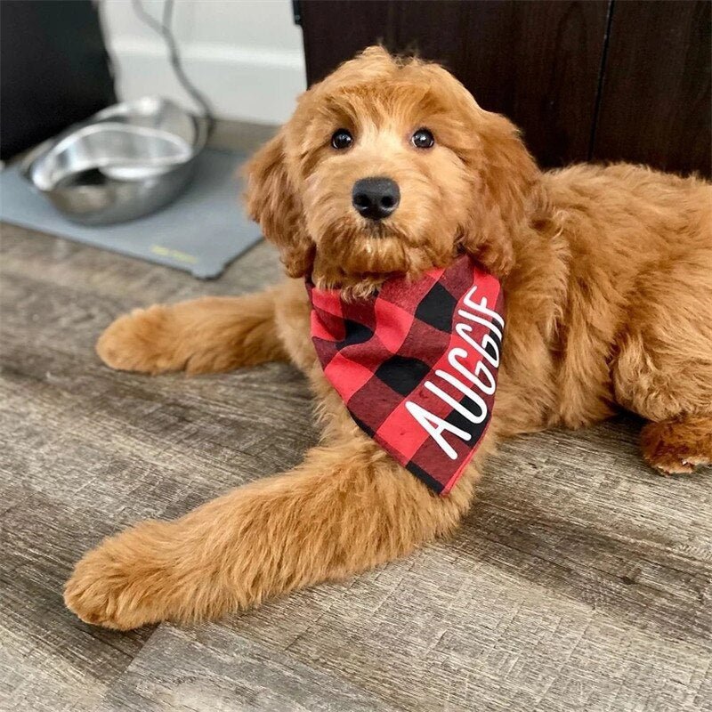 Personalized Plaid Dog Bandana Scarf-Wiggleez-Green-Wiggleez