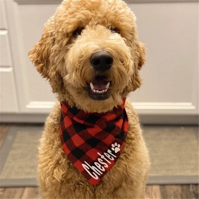 Personalized Plaid Dog Bandana Scarf-Wiggleez-Green-Wiggleez