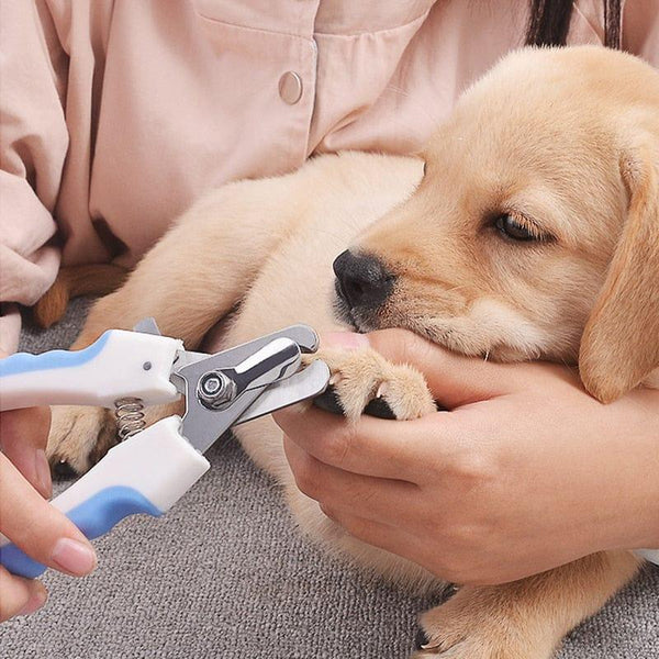 Pet Nail Clipper-Wiggleez-Style 1 Blue-S-Wiggleez