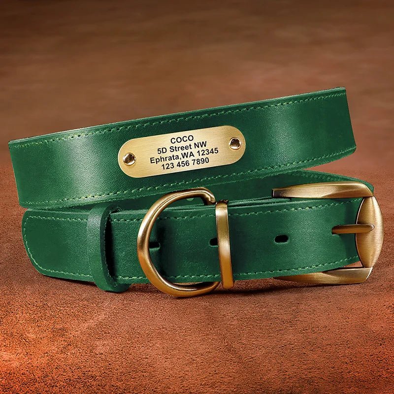 Real Leather Personalized Engraved Dog Collar Tag Personalized-Wiggleez-green-XS-Wiggleez