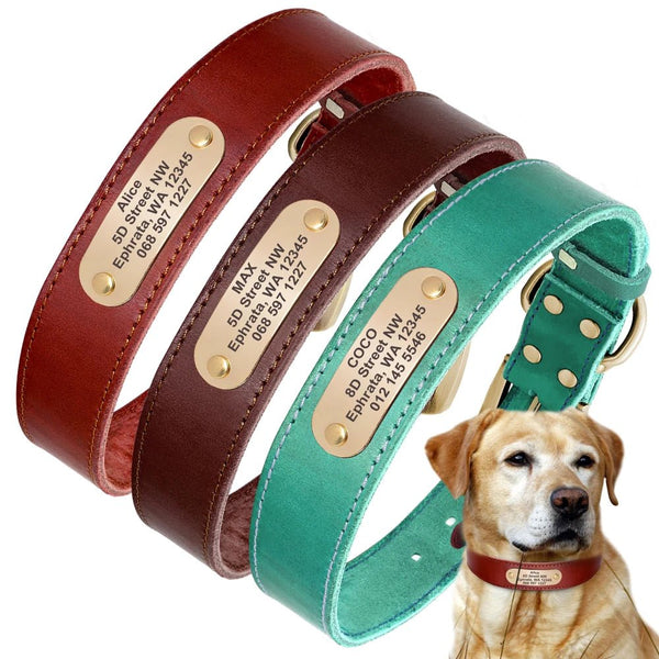 Real Leather Personalized Engraved Dog Collar Tag Personalized-Wiggleez-Red-XL-Wiggleez