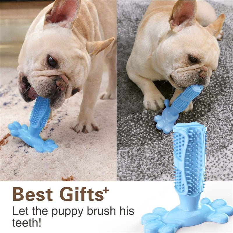 Rubber Chew Toys For Dogs-Wiggleez-Wiggleez