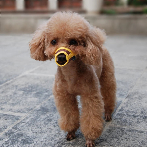 Small Medium Large dog Leatherette Nylon Mesh Muzzle-Wiggleez-Gray Mesh-XS-Wiggleez