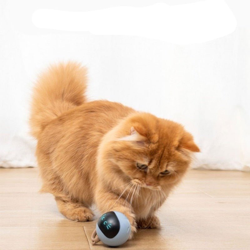 Smart Self Rotating LED Cat Toy-Wiggleez-White-Wiggleez