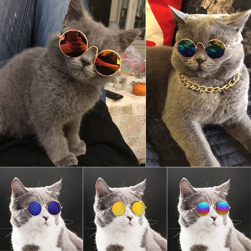 Stylish Sunglasses Goggles for Dogs and Cats-Wiggleez-Design A-Wiggleez