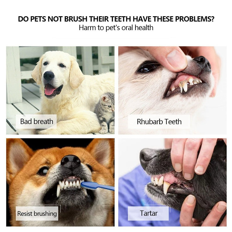Three-Head Multi-angle Pet Toothbrush-Wiggleez-Light Green-Wiggleez