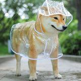 Transparent Raincoat For Small and Medium Dogs-Wiggleez-White-XS-Wiggleez