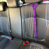 Two-in-One Adjustable Pet Dog Car Seat Belt-Wiggleez-Black-Wiggleez
