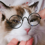 Vintage Round Cat Sunglasses-Wiggleez-Silver Transparent-Wiggleez