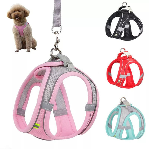 Adjustable Outdoor Dog Harness Leash Set for Small Dogs-Wiggleez-black-XXS 1-2 kg-Wiggleez