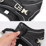Adjustable Outdoor Dog Harness Leash Set for Small Dogs-Wiggleez-black-XXS 1-2 kg-Wiggleez
