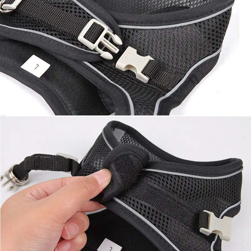 Adjustable Outdoor Dog Harness Leash Set for Small Dogs-Wiggleez-black-XXS 1-2 kg-Wiggleez