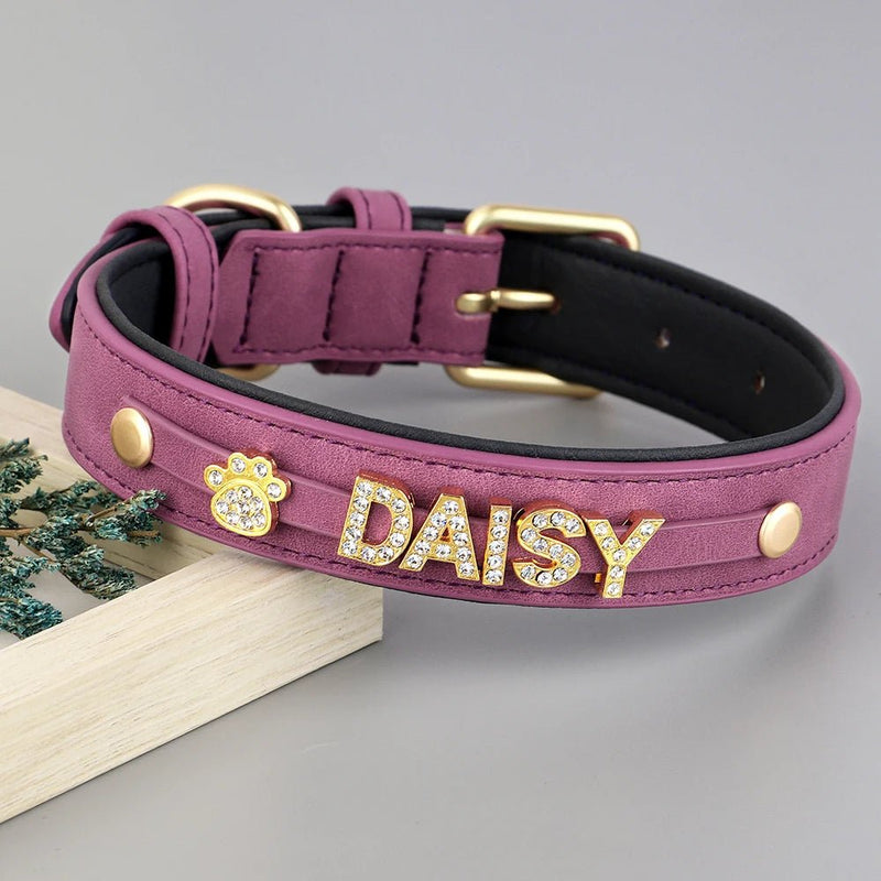 Customized Personalized Leather Engraved Dog Collar-Wiggleez-PURPLE-S-Wiggleez