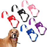Nylon Adjustable Dog Muzzle Anti-barking Anti-bite Harness Head Collar Muzzle-Wiggleez-Purple-S-Wiggleez