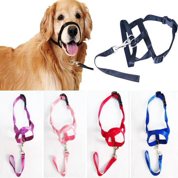 Nylon Adjustable Dog Muzzle Anti-barking Anti-bite Harness Head Collar Muzzle-Wiggleez-Purple-S-Wiggleez