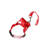 Nylon Adjustable Dog Muzzle Anti-barking Anti-bite Harness Head Collar Muzzle-Wiggleez-Red-S-Wiggleez