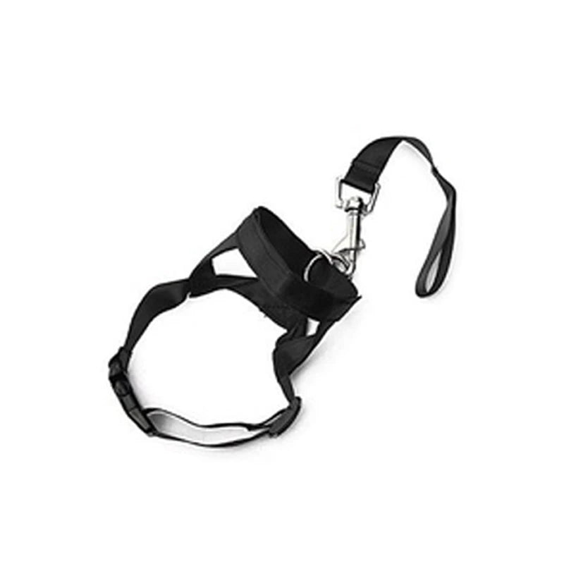 Nylon Adjustable Dog Muzzle Anti-barking Anti-bite Harness Head Collar Muzzle-Wiggleez-Black-S-Wiggleez